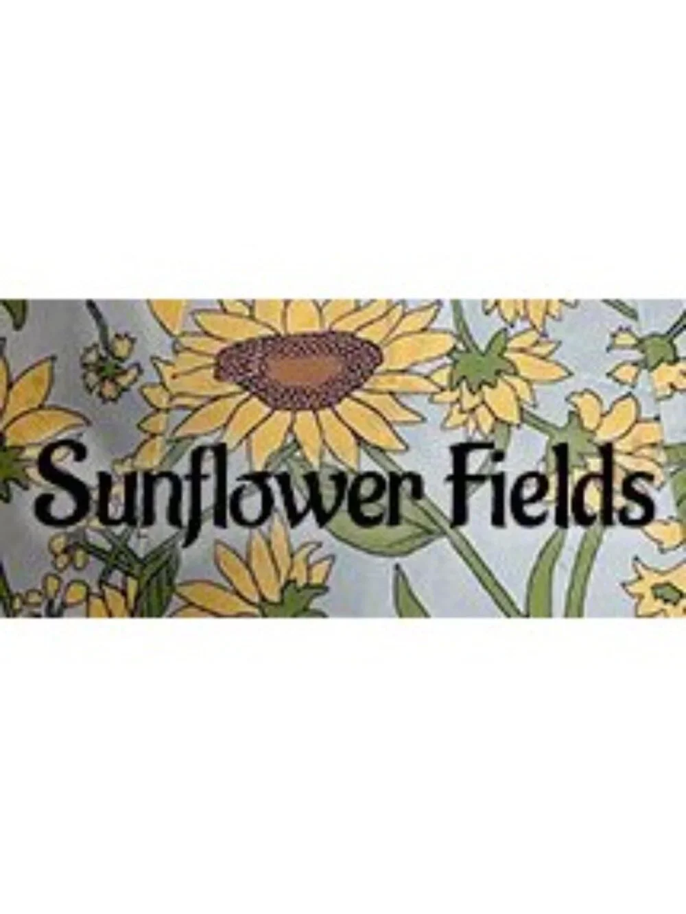 Gymboree S M Sunflower Fields Embroidered Light Blue Corduroy Newsboy Cap